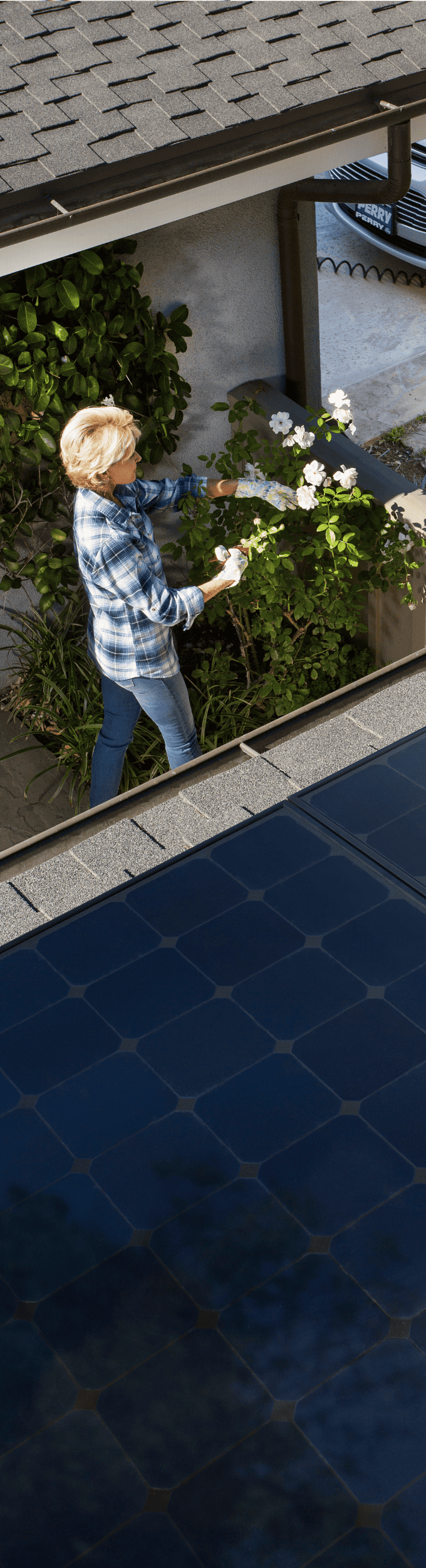 Woman working on plants with solar panels as the main view.